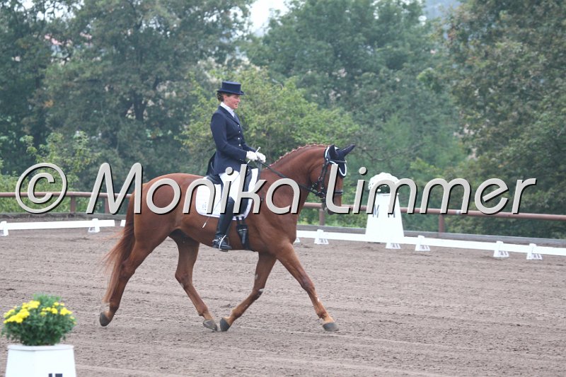 009M8781_London Jazz_Dressurpf L.JPG